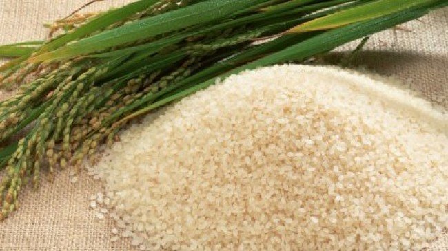 Top 10 Quality Rice Pakistan Exports Worldwide