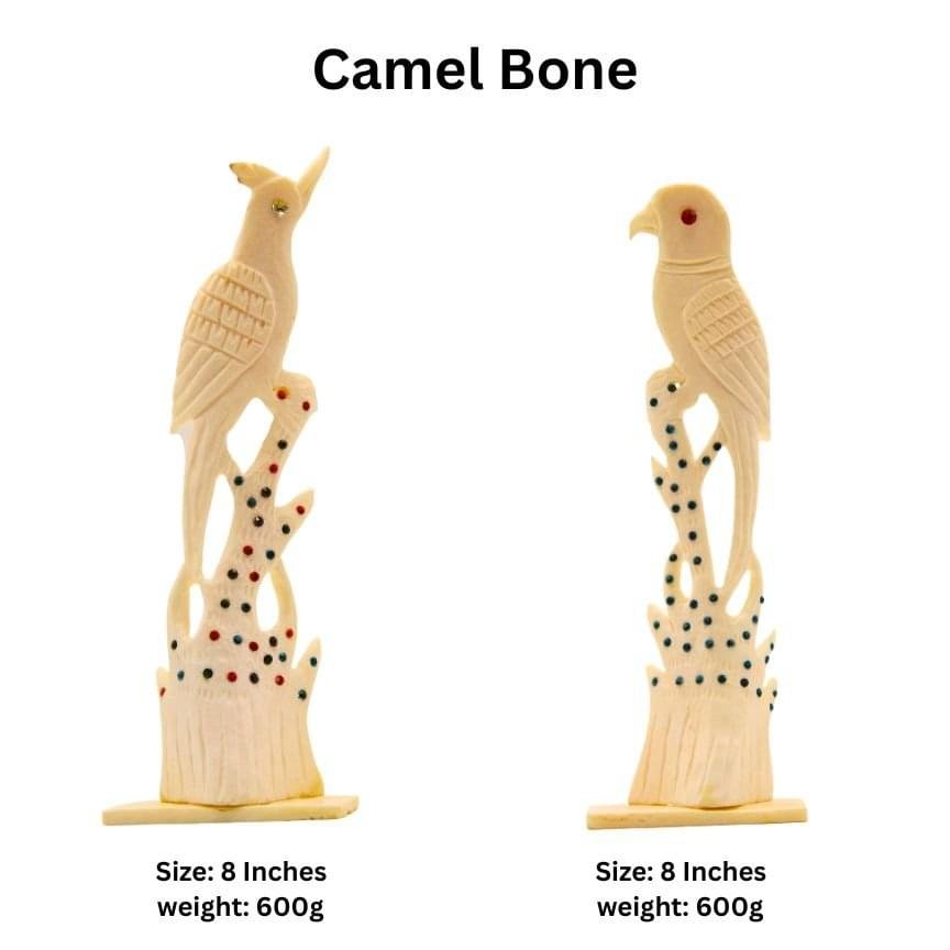 Camel Bone Sparrow , Parrot